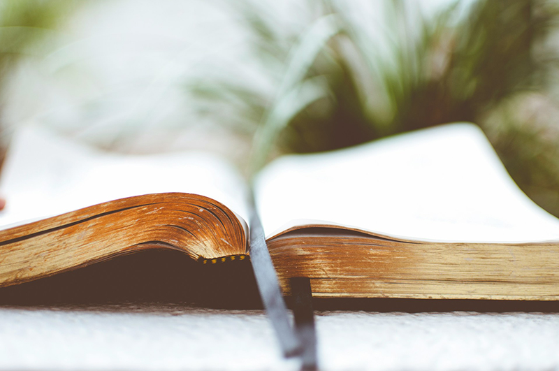 bible-study-hero